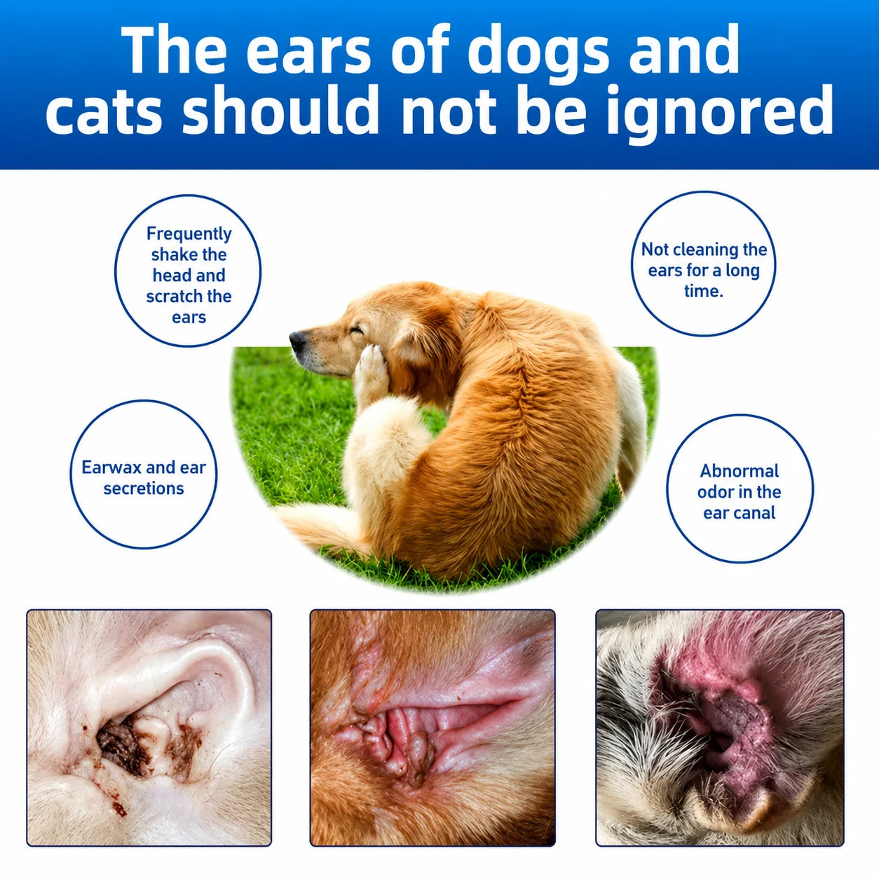 Silvelyo™ Pet Ear Wash | Odor-Free Cleaning for Dogs & Cats🐾