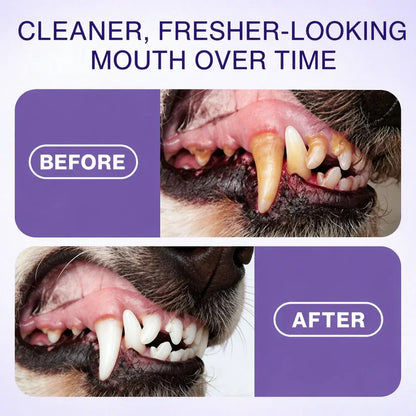 Silvelyo™ Advanced Pet Oral Spray | Fresher Breath, Plaque Biofilm & Gum Care — No Brushing