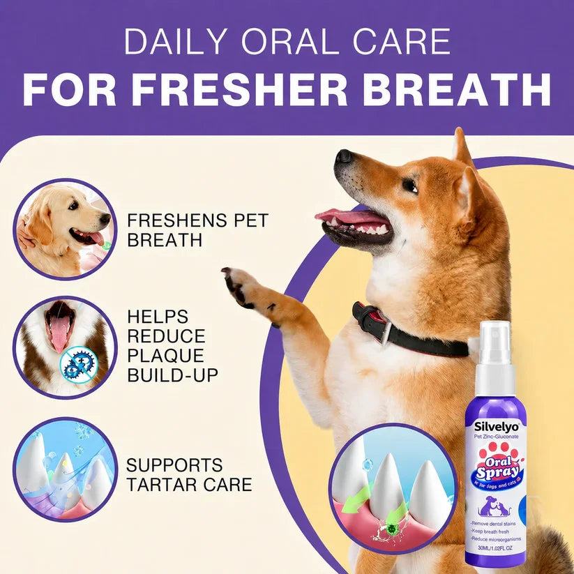 Silvelyo™ Advanced Pet Oral Spray | Fresher Breath, Plaque Biofilm & Gum Care — No Brushing