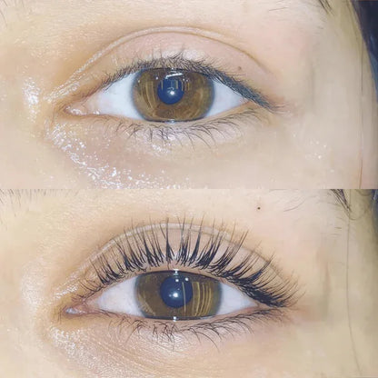 Silvelyo Lashlift Set (BUY 1 GET 1 FREE)